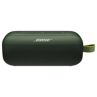 Bose SoundLink Flex Bluetooth  Picture